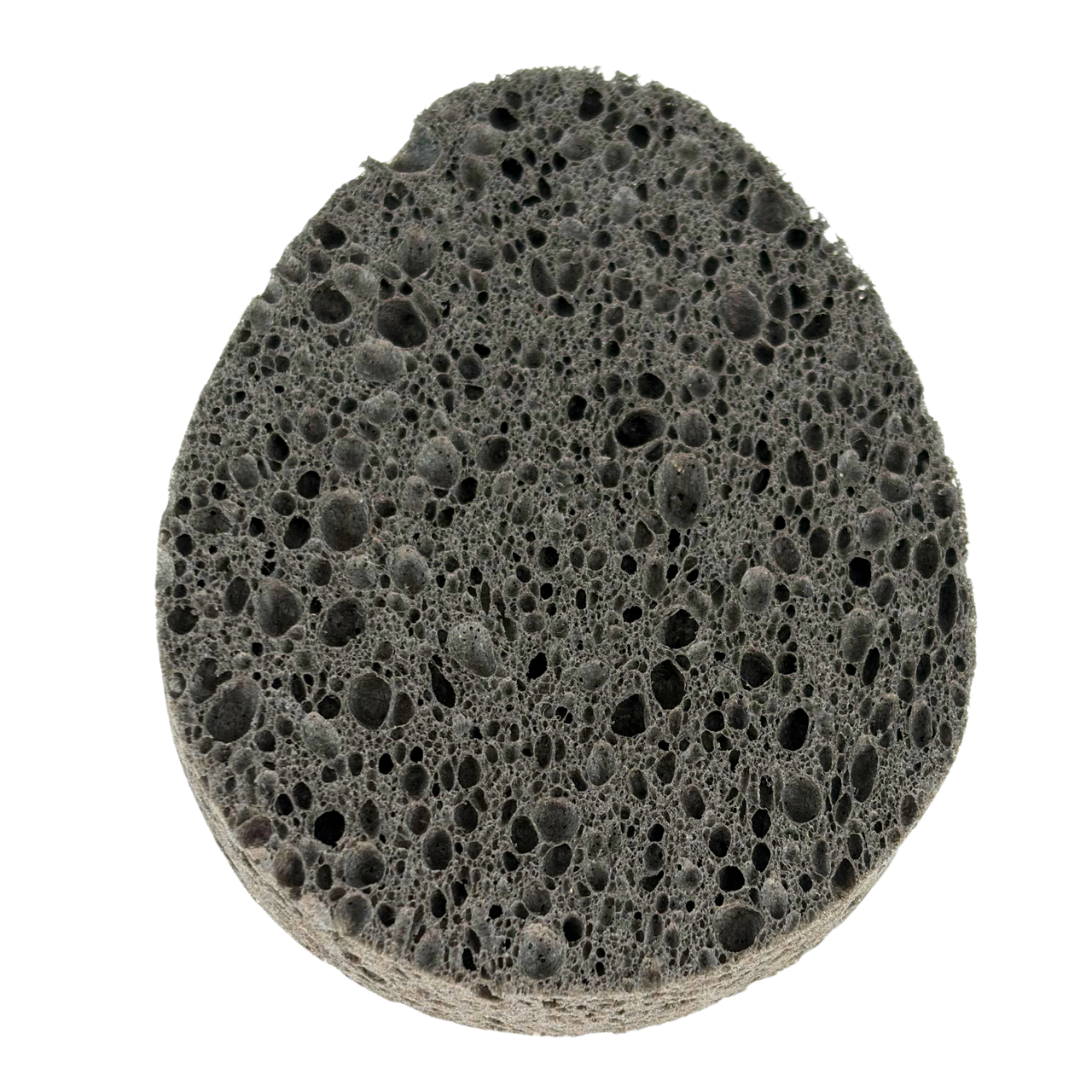 Replacement sponge for The UnWipe